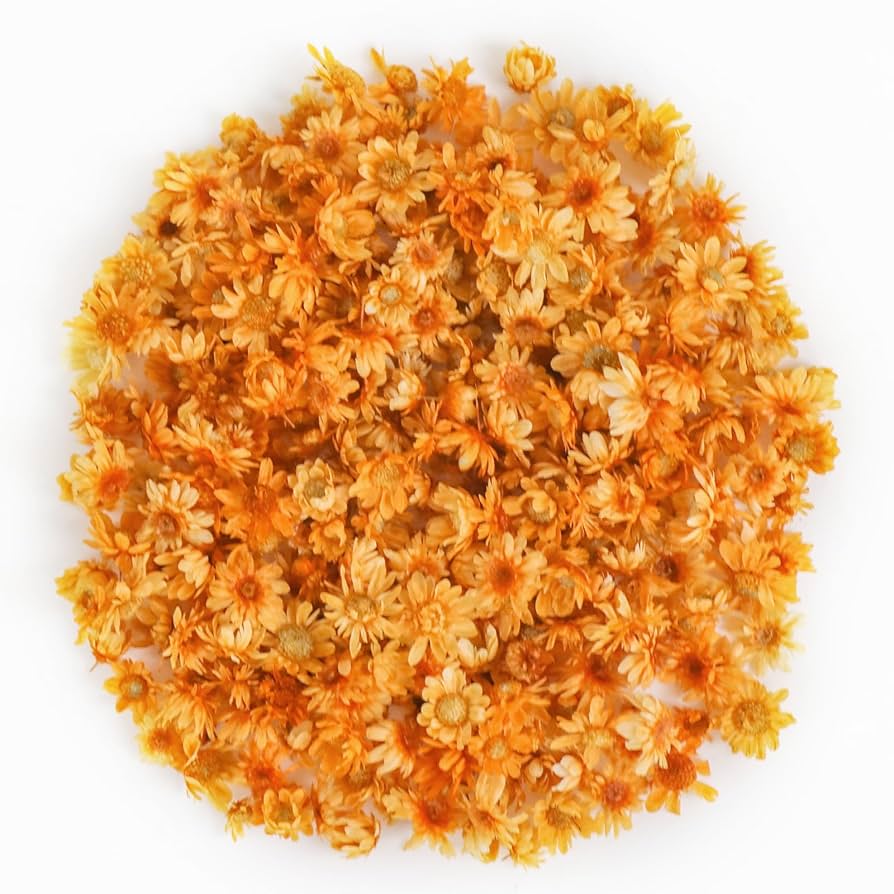 オレンジのポニーフック(ミニ)　#押しフルーツ　#ドライフラワー HP-008】和風 フラワー レジン ポニーフック | TricoloreDaisy