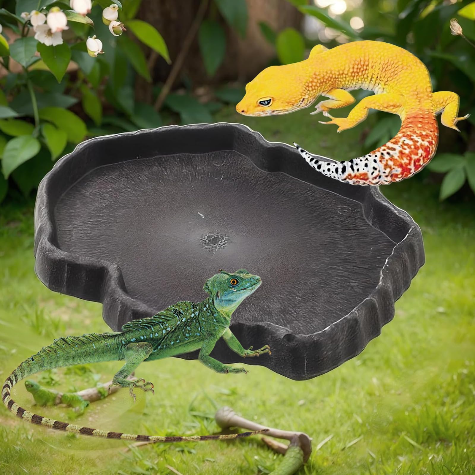 Bassin 2 En 1 Pour Tortue & Reptiles – Écuelle D'Eau Et Zone De Bain Avec Rampe | Résistant Aux Taches, Antidérapant | Pour Terrarium, Aquarium, Gecko, Serpent