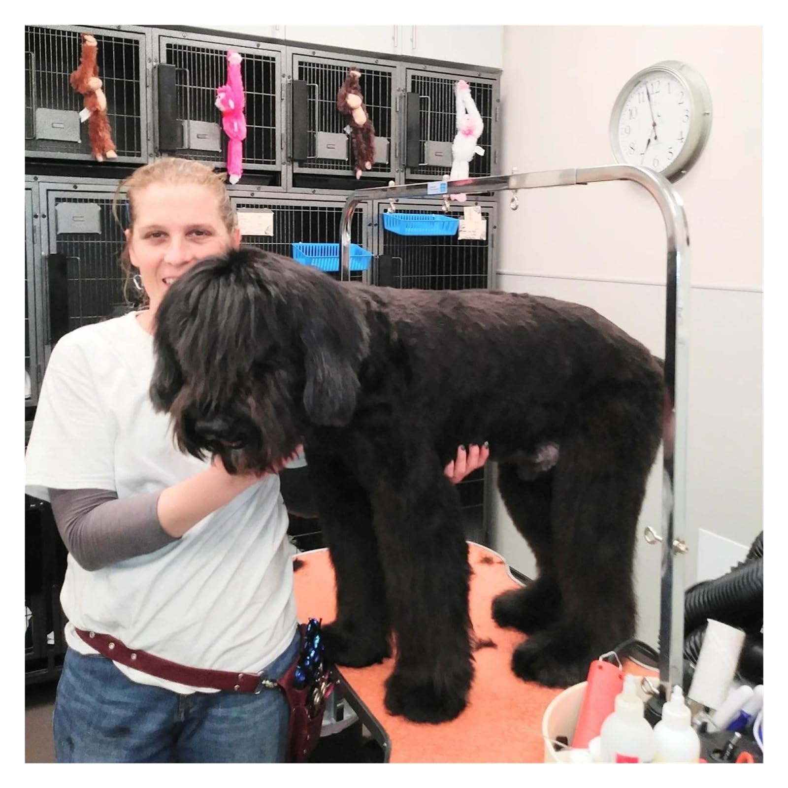 Cuchilla A5 Compatible Con La Mayoría De Las Máquinas, Compatible Con Andis Y Oster. Recortadora De Pelo For Perros Heiniger Laube Moser De Baja Temperatura.(7F)