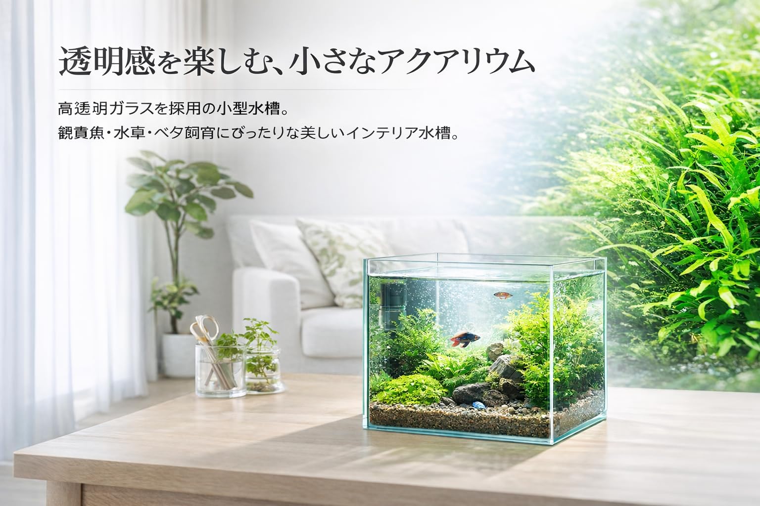 Amazon | 水槽 キューブ 25CM W25D25H25 超透明ガラス アクアリウム