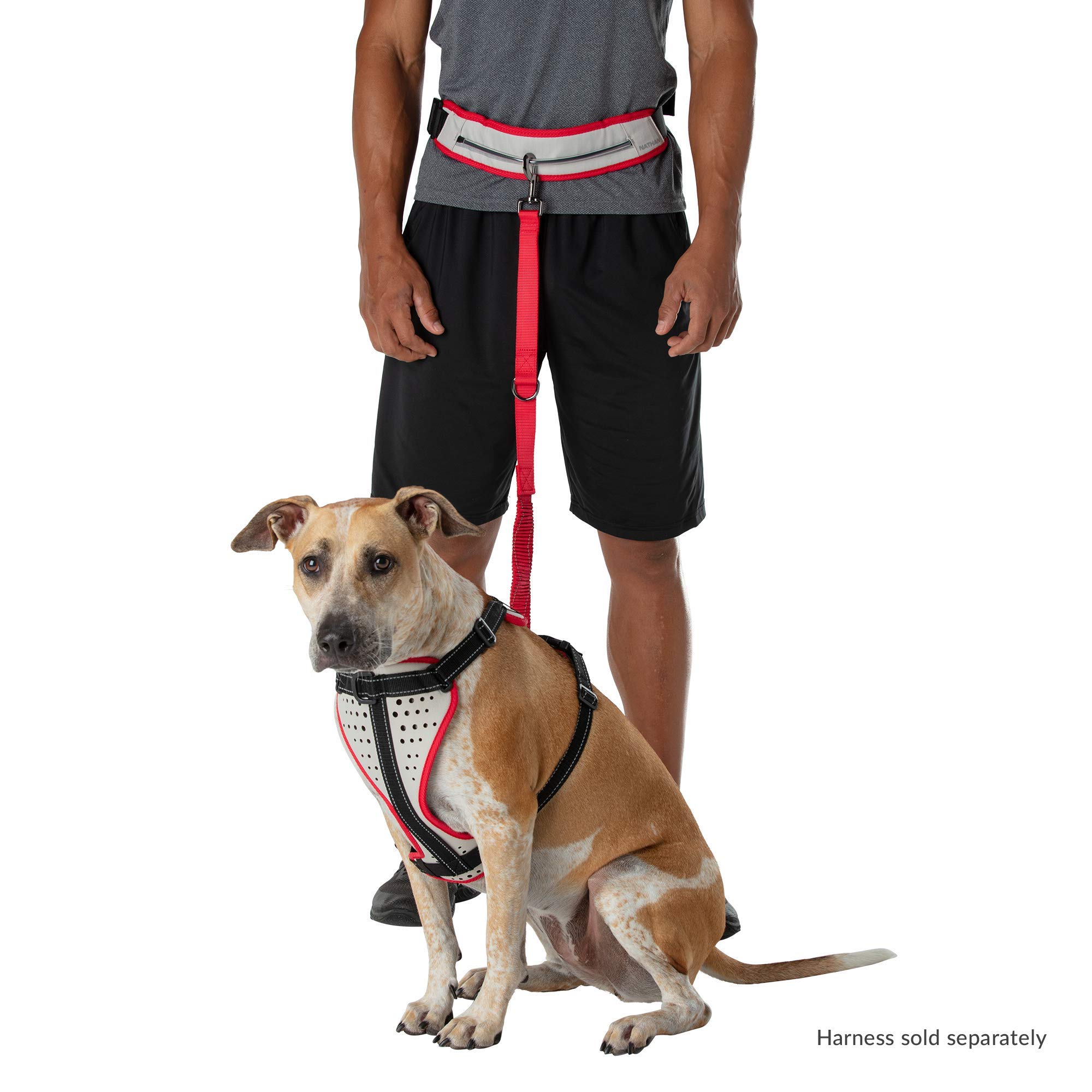 Nathan Laisse pour chien avec sac banane pour coureurs - Harnais mains libres pour K9 - Jogging, marche, randonnée, course à pied avec chien