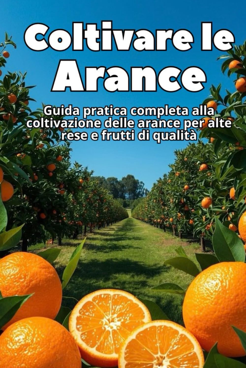 Coltivare le Arance: Guida pratica completa alla coltivazione delle arance per alte rese e frutti di qualità