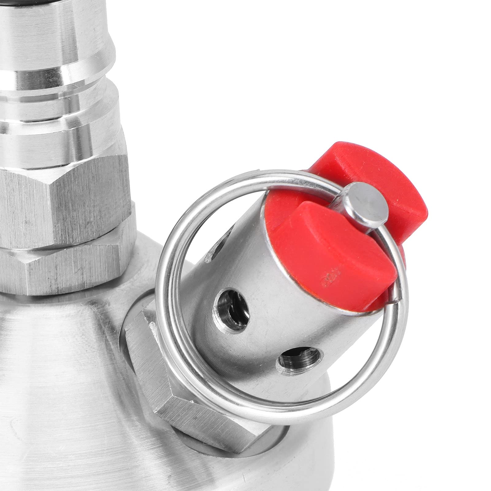 Dispenser per Fusti a Doppia Chiusura, Dispenser per Mini Fusti in Acciaio Inossidabile 304 per Mini Fusti da 5 Litri E 10 Litri, Garantisce Birra