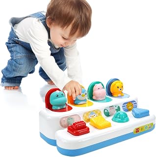 Pop up Baby Spielzeug ab 12 Monate, Montessori Spielzeug ab 1 Jahr Motorikspielzeug ab 6 Monten Frühe Entwicklung Ursache & Wirkung Lernspielzeug Baby Ostern Geschenk Jungen Mädchen