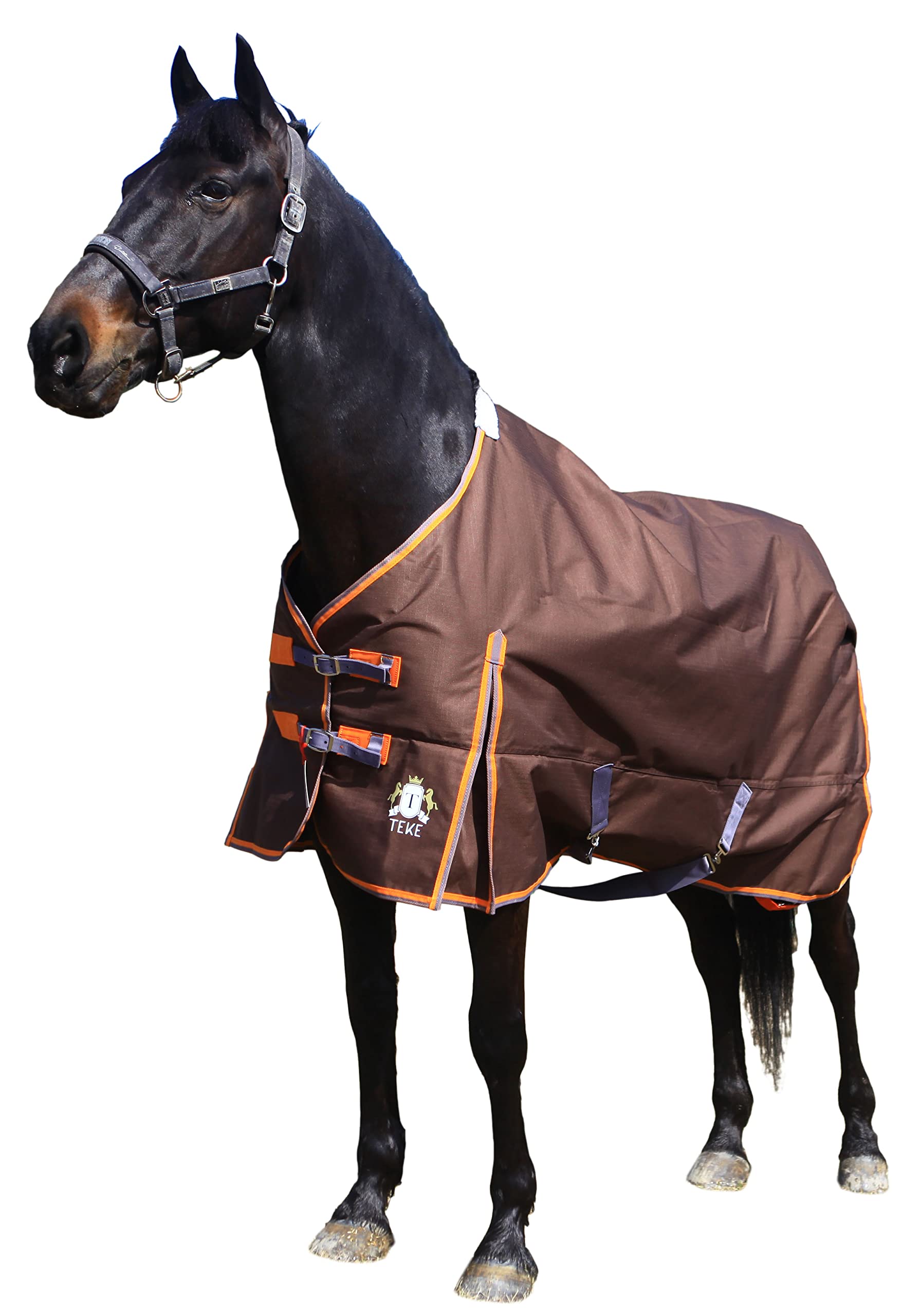 T TEKE Classic Turnout Horse Sheets, 600D Waterproof and Breathable Horse Care Sheets with no Filling (51"-87" Including Miniature/foal Size)