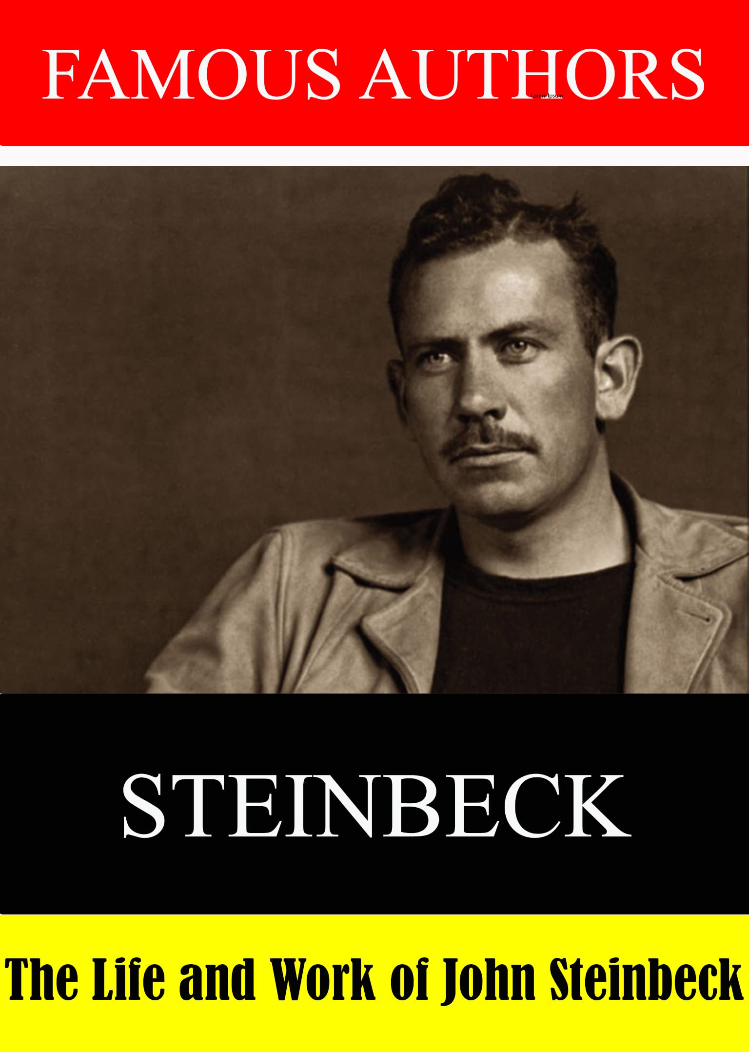 その他 Famous Authors: John Steinbeck [DVD] Amazon.co.jp: Famous Authors: The Life and Work of John