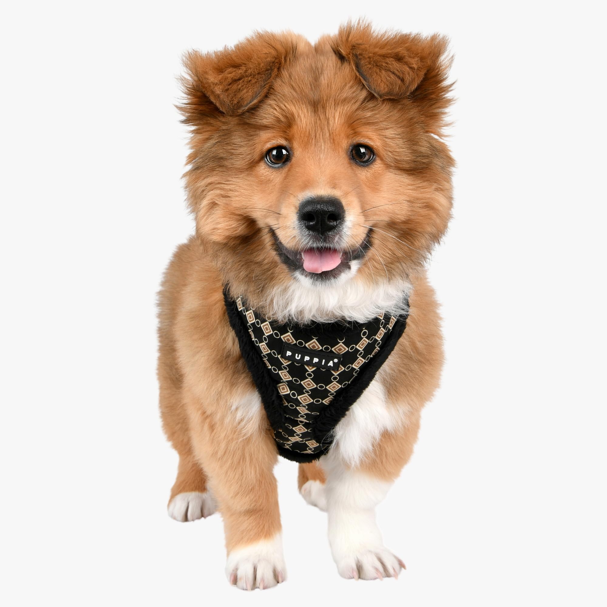 Puppia Jace Dog Harness Head Warm Winter Diamond Pattern Adjustable Chest for Small Medium Dog Black M, Black_Jace - Image 3