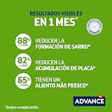 Ver la foto 2