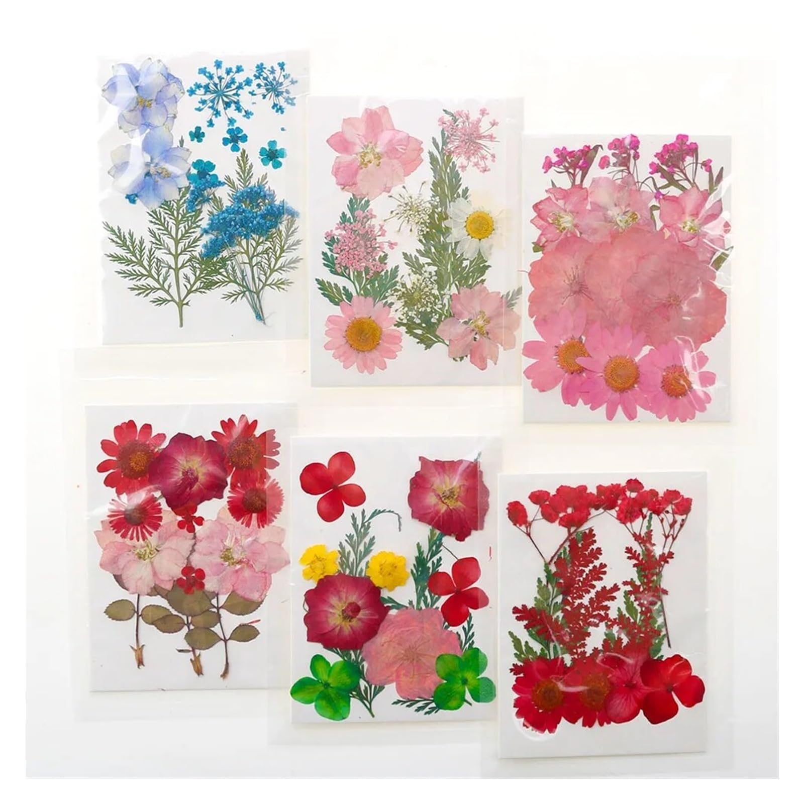 HBALDTEDC Getrocknete gepresste Blumen, 1 Packung Trockenblumen Trockenpflanzen for Harzformen Füllungen Epoxidharz Handwerk DIY Nail Art Dekoration Gepresste Blumen