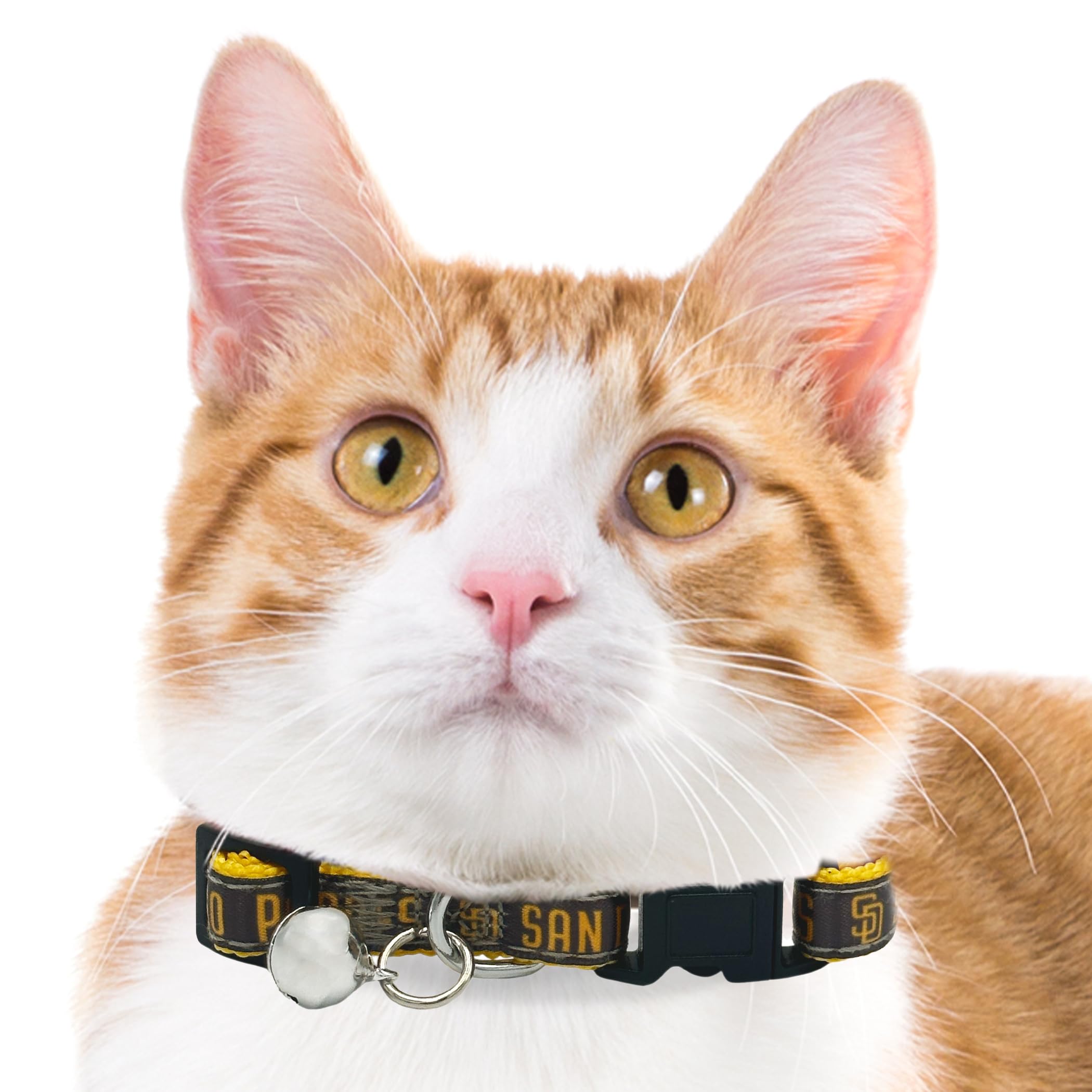 MLB CAT Halsband San Diego Padres Satin Katzenhalsband Baseball Team Halsband für Hunde & Katzen Ein glänzendes und farbenfrohes Katzenhalsband mit Klingelglocken-Anhänger