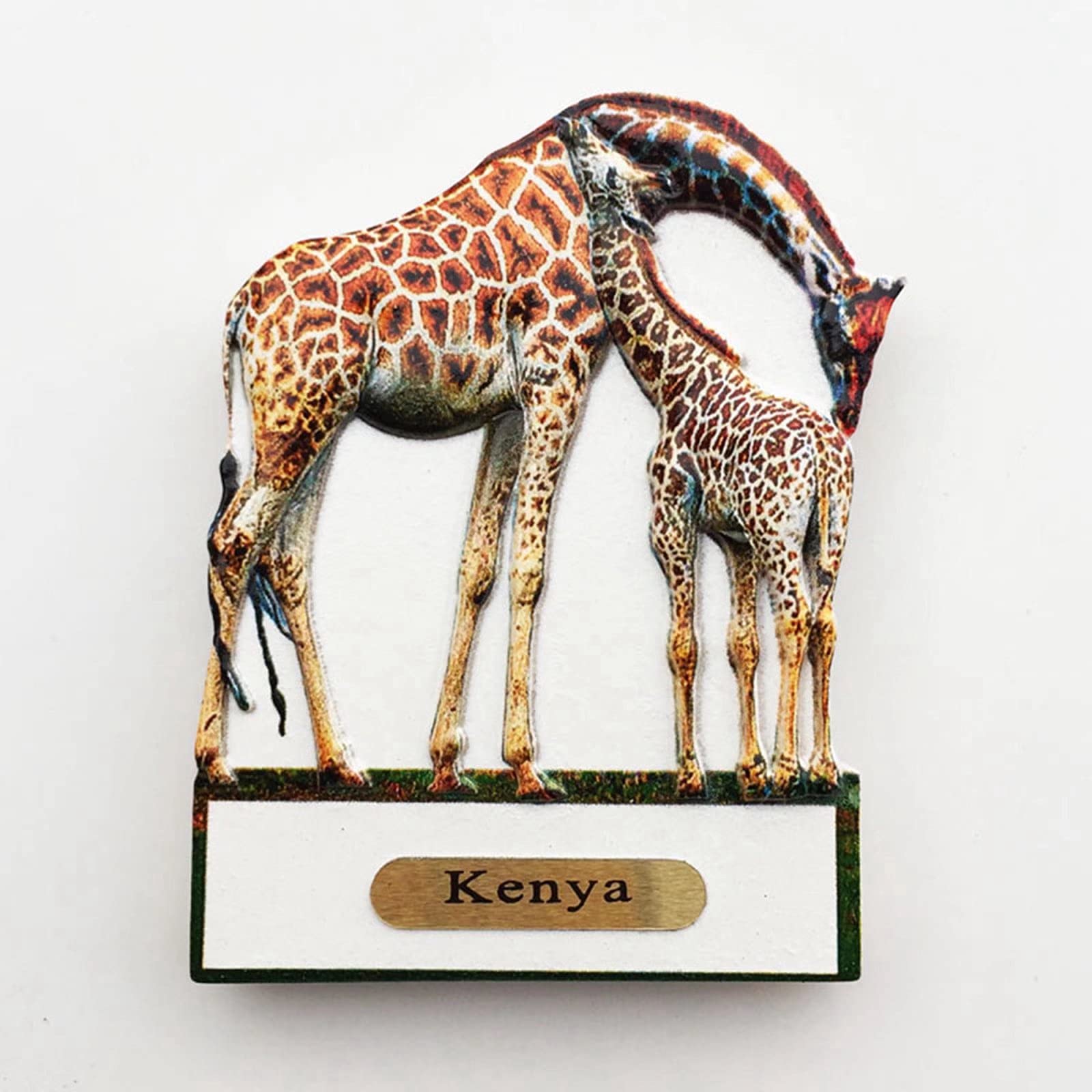 Amazon.com: Masai Mara Park Giraffe Kenya Magnet Travel Souvenir