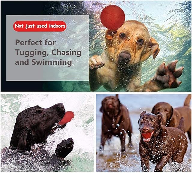 Foto 5 de 6 de OFKPO 3PCS Juguetes Interactivos para Perros, Pelota de Goma Natural en Una Cuerda