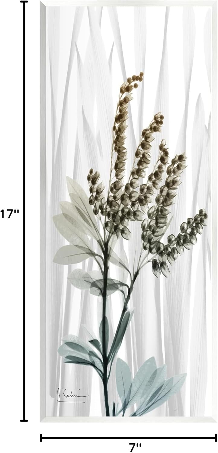 Stupell Industries Snowdrops X-Ray Plant Wall Plaque Art by Albert Koetsier