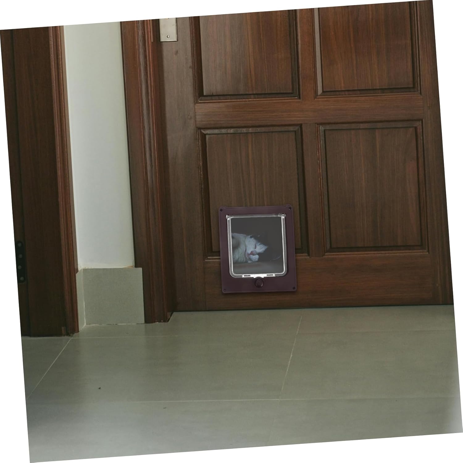 POPETPOP Weatherproof Cat Door for Small Pets Dogs Lockable Flap Indoor Outdoor Abs Material Automatic Lock Collar Activated Small Dog Friendly