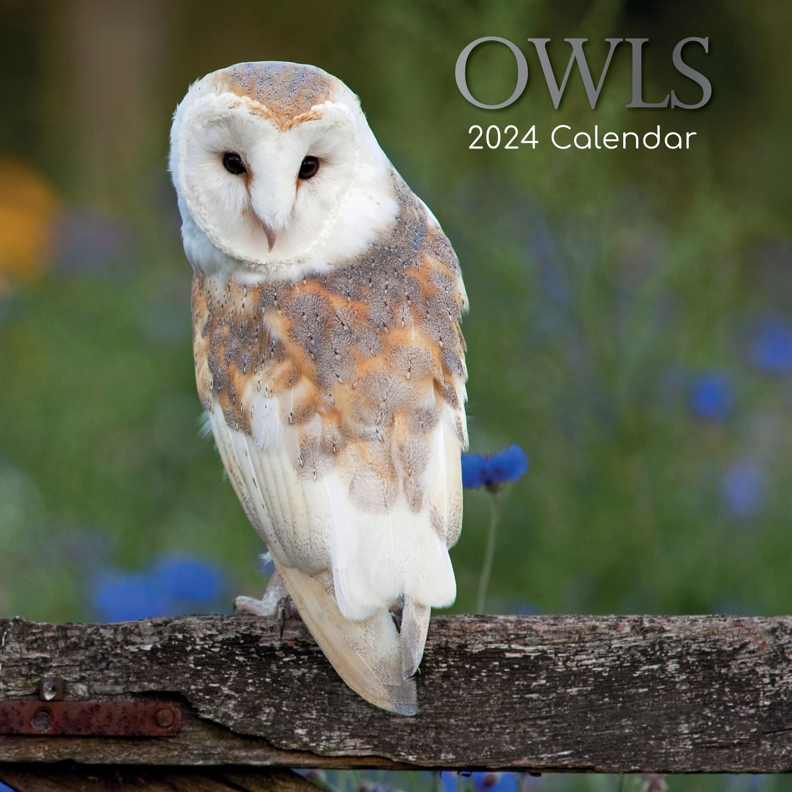 Wall Calendar 2024 - Owls, 30 x 30 CM Monthly View, 16-Month, Animals Theme, Includes 180 Reminder Stickers