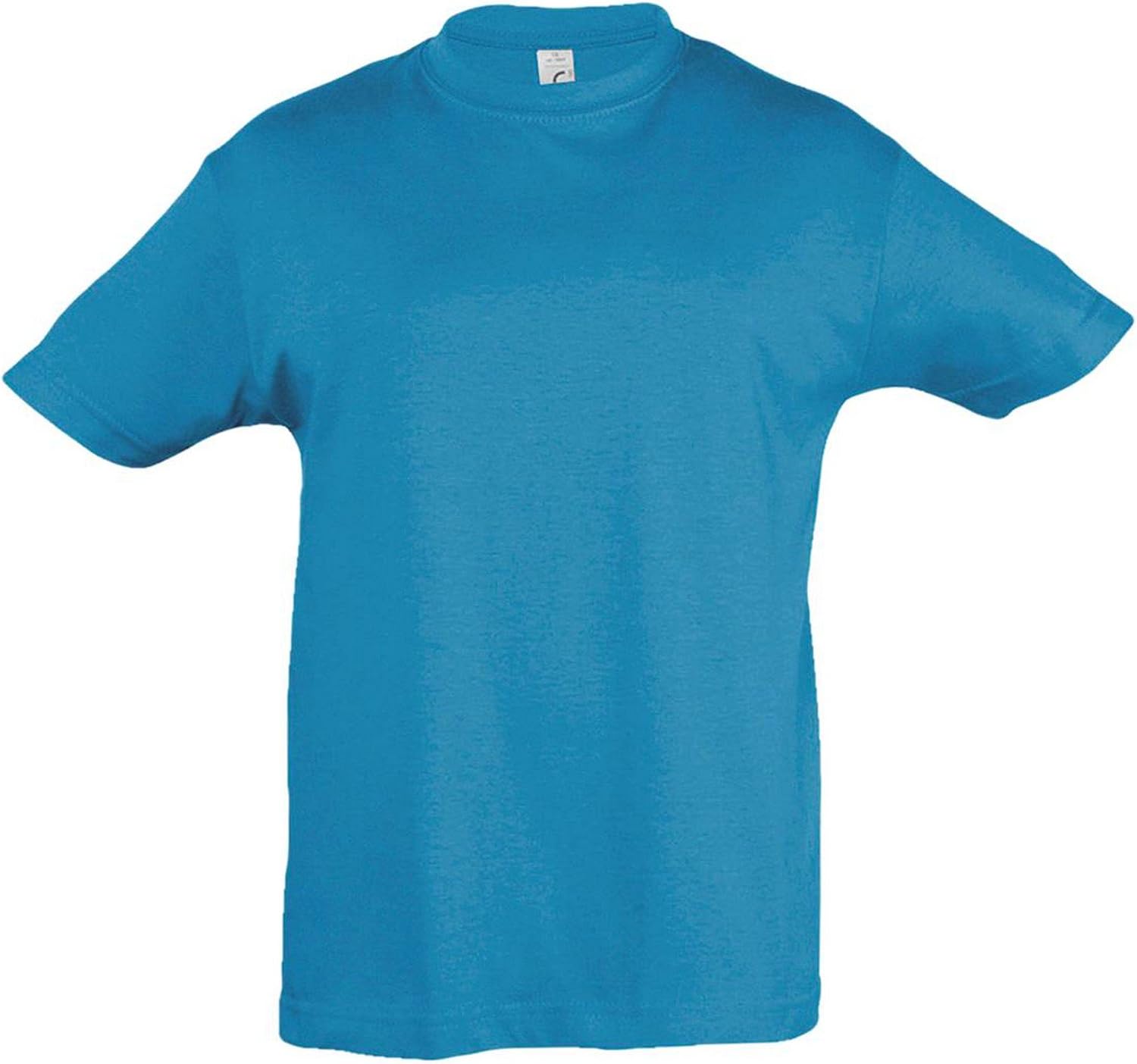 SOL'S Kids Big Girls Regent Short Sleeve T-Shirt (4yrs (38-41 Inches)) (Aqua)