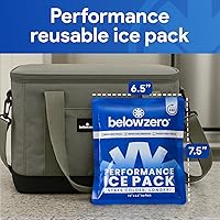 Vista 2 de Below Zero Paquetes de hielo precargados reutilizables para enfriadores Bloques de hielo de congelador de larga duración para acampar, bolsas