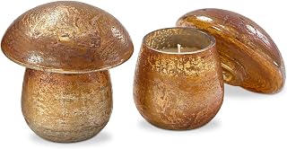 tag Scented Soy Wax Blend Fragrance Candle in Glass Shaped Mushroom Container with Lid 5.0L x 5.0W x 5.0H Inches Burn Time 18 Hours Multi Harvest