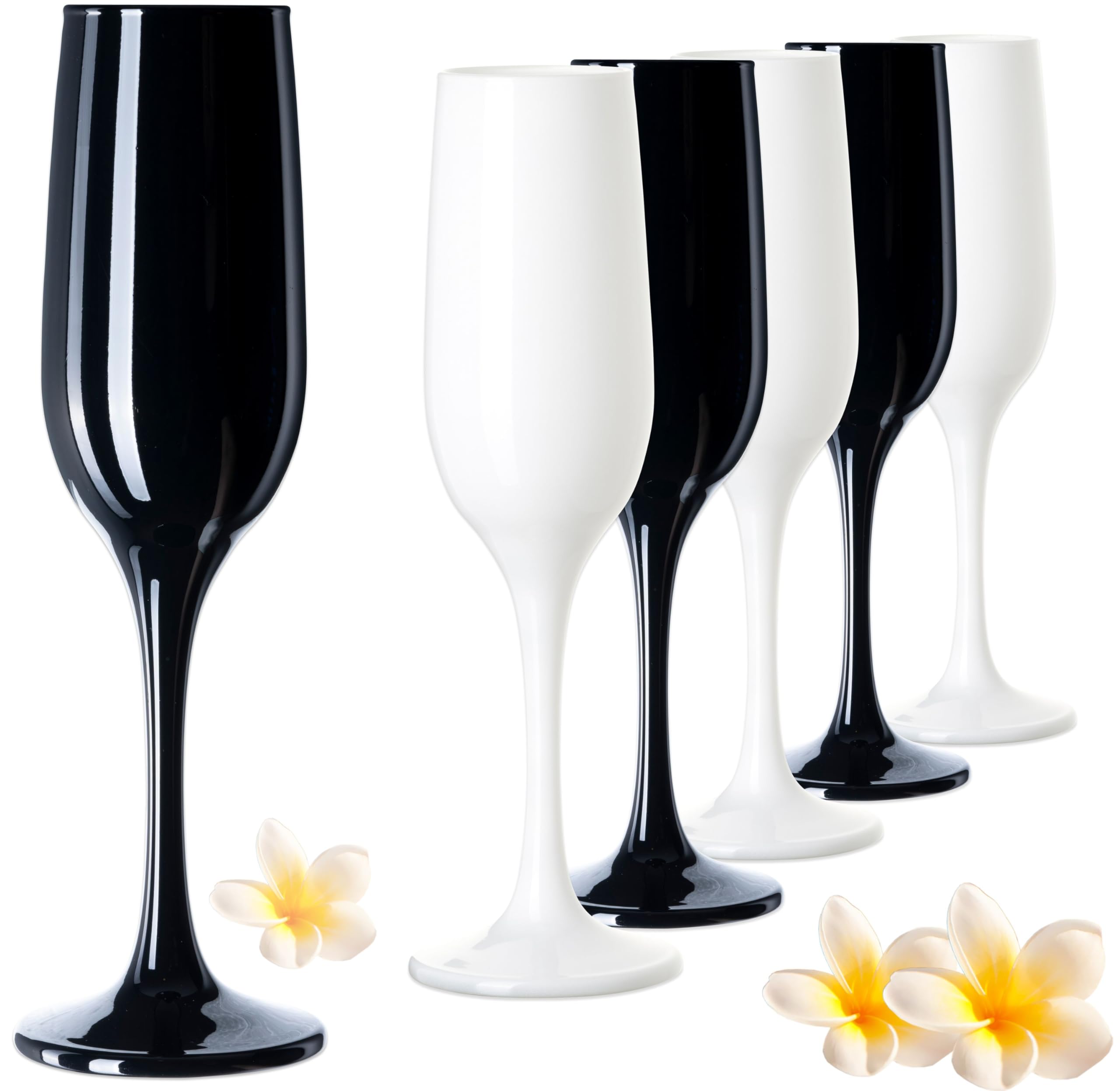 PLATINUX Juego de 6 copas de champán de 210 ml, color blanco y negro