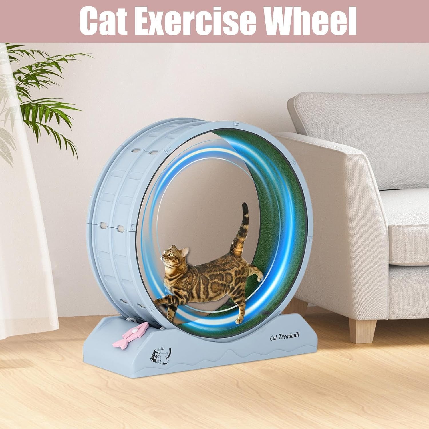 猫のエクササイズホイール、猫が走る猫 | 🌿 子猫のフィットネス機器