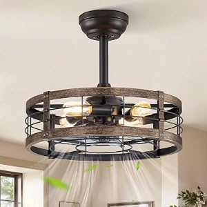 LEDIARY 18 inch Caged Fandelier Ceiling Fan Light with Remote, Black Gold
