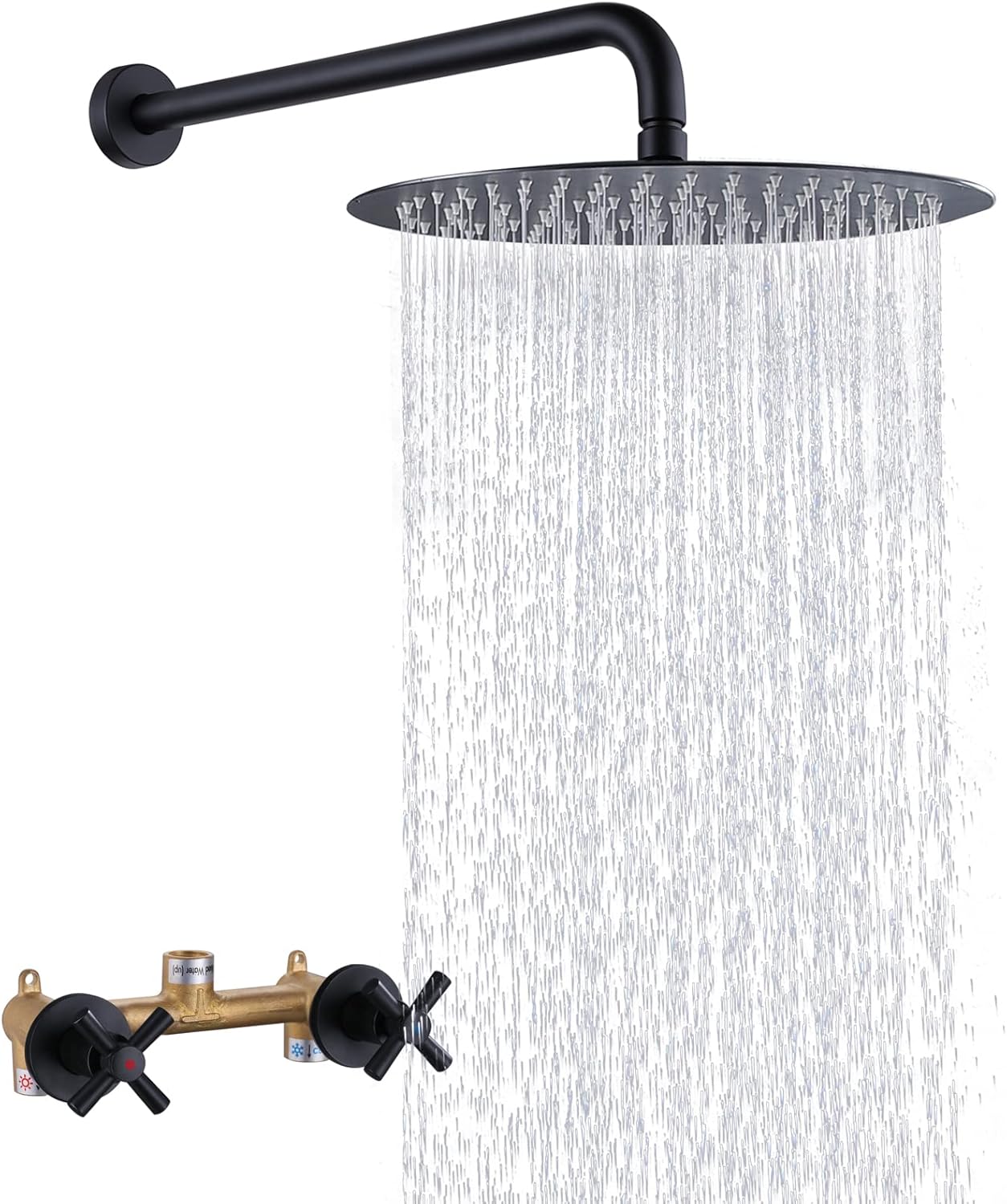FSCEPIXI Matte Black 2 Handles Shower with 10'' Rainfall Shower Head