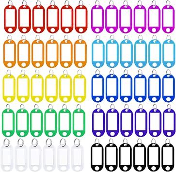 60 Pcs Key Tags with Labels, Tough Plastic Key Tags with Split Ring Label Window with Split Ring Assorted Colors for ID Tags, Pet Name Tags, Luggage Tags