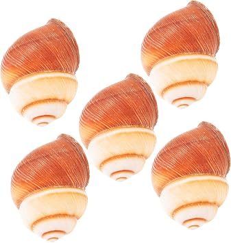 5Pcs Food Grade Natural Escargot Shells for Baking French Style Snail Shells for Home Restaurant Use Heat Insulation Safe Cooking Snail Plates