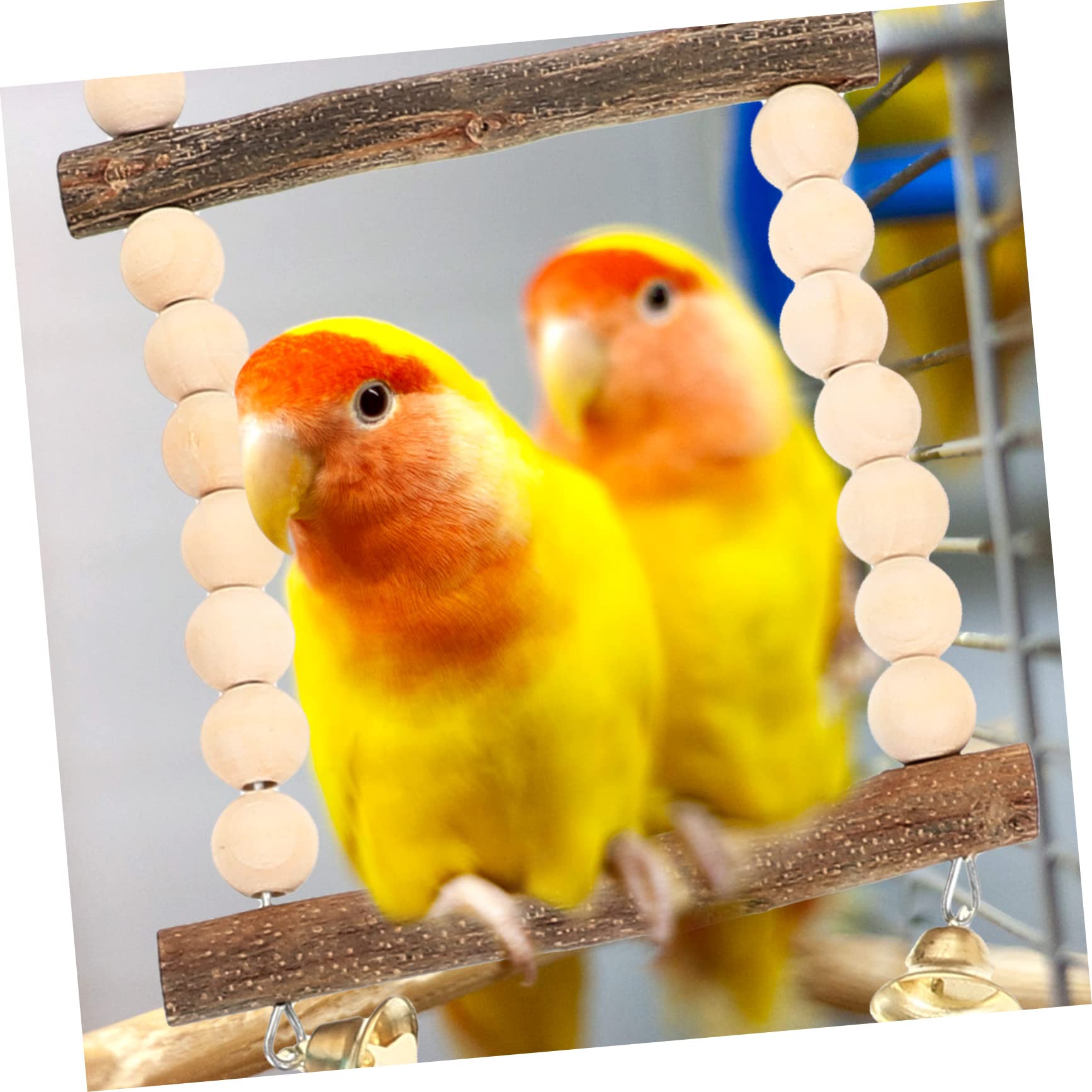 Giochi per Pappagalli da Appendere Resistente per Pappagalli e Calopsitte Giocattoli da Masticare e Altalena per Uccelli Adatto Tutte Specie Facile da Installare