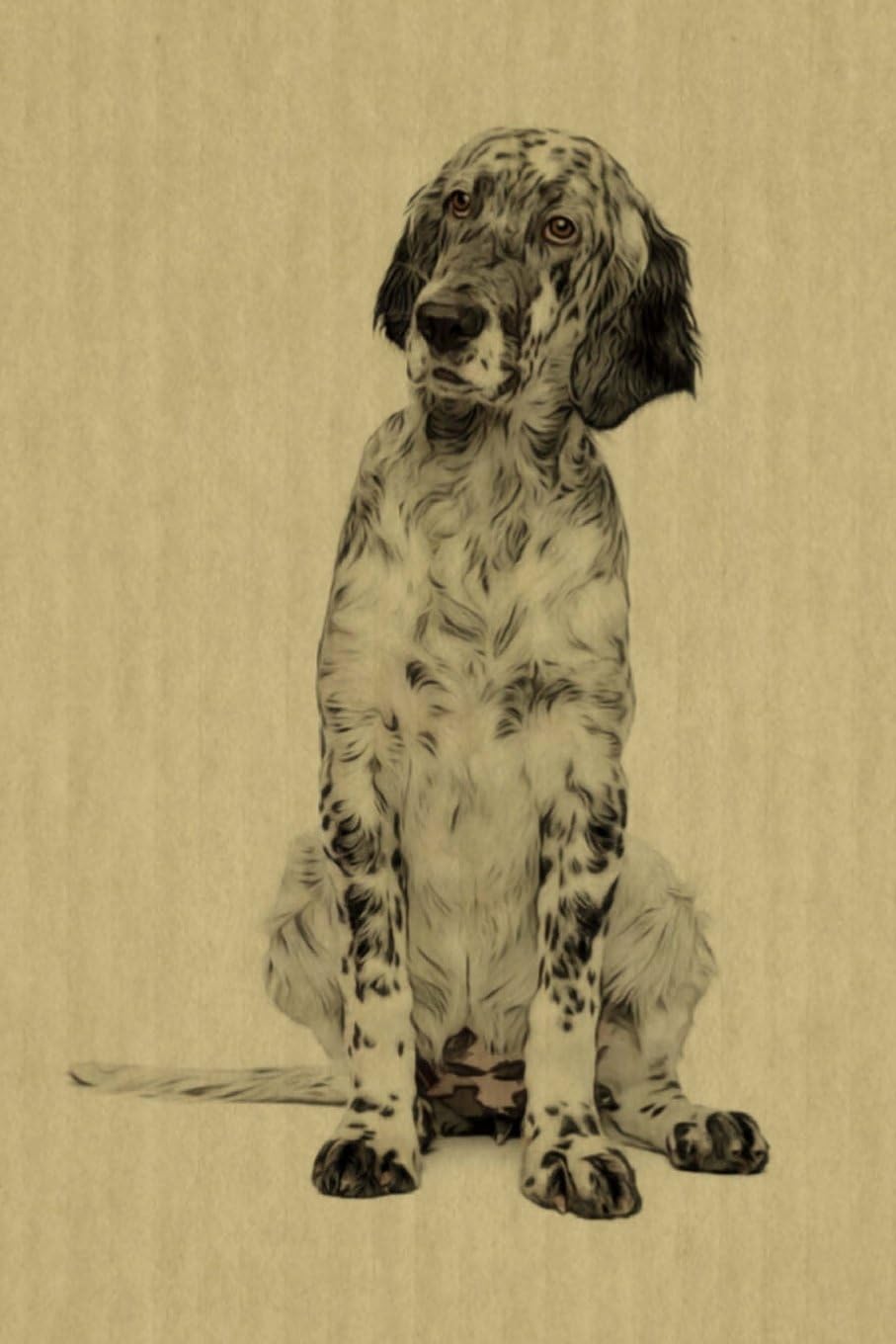 English Setter: Artified Pets Journal/Notebook/Diary: Volume 37 (Artified Pets Ink Dog)