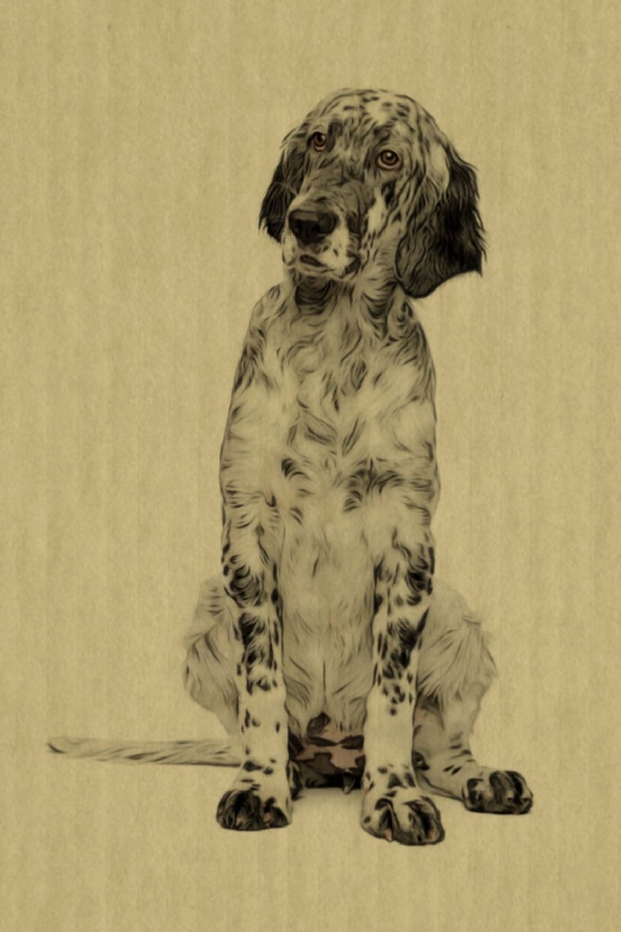 English Setter: Artified Pets Journal/Notebook/Diary: Volume 37 (Artified Pets Ink Dog) Paperback – 4 Mar. 2017
