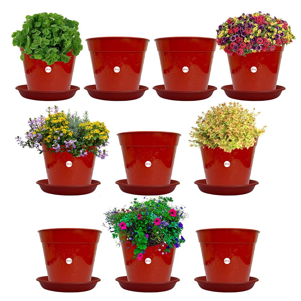 Kraft seeds plastic flower pots red colour, 6 inches, pack of 10 with bottom plate Amazon.in