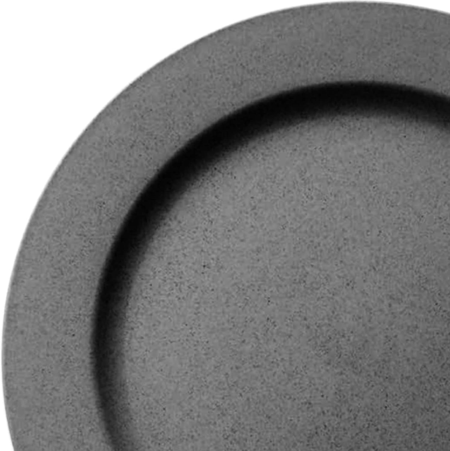 Disposable Plastic Plates, Heavy Duty Matte Round Design Dinnerware, 120 pcs Bulk Order Party Supplies For Wedding, Birthday & All Occasions (120 pcs 10" Dinner Plates, Charcoal Gray)
