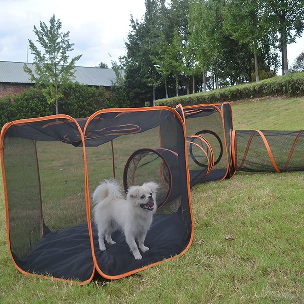 Tente tunnel 6 en 1 pour animal domestique chat et chien – Habitat intérieur pliable pour chat, chien, lapin, petit animal – Tunnel de jeu pour animaux de compagnie