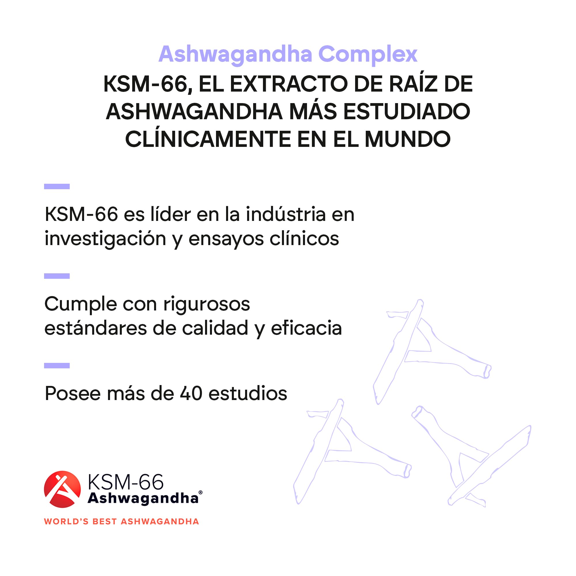 Ashwagandha KSM-66 - Rhodiola Rosea Vit B6 B12 - Ginseng Indio BIO-disponible con 5% de Whitanólidos y Vitaminas B6 y B12-60 Cápsulas Veganas Nutralie
