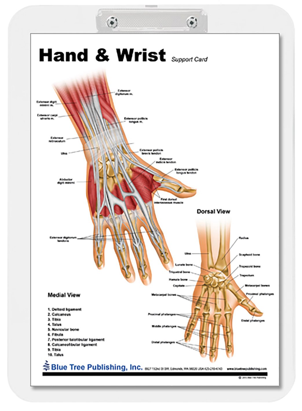 Hand and Wrist Insert Clipboard