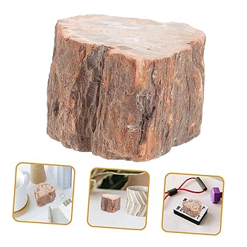 木石(木の石) Amazon.co.jp: 石化した木の部分 石の木のテーブルの表示 天然木
