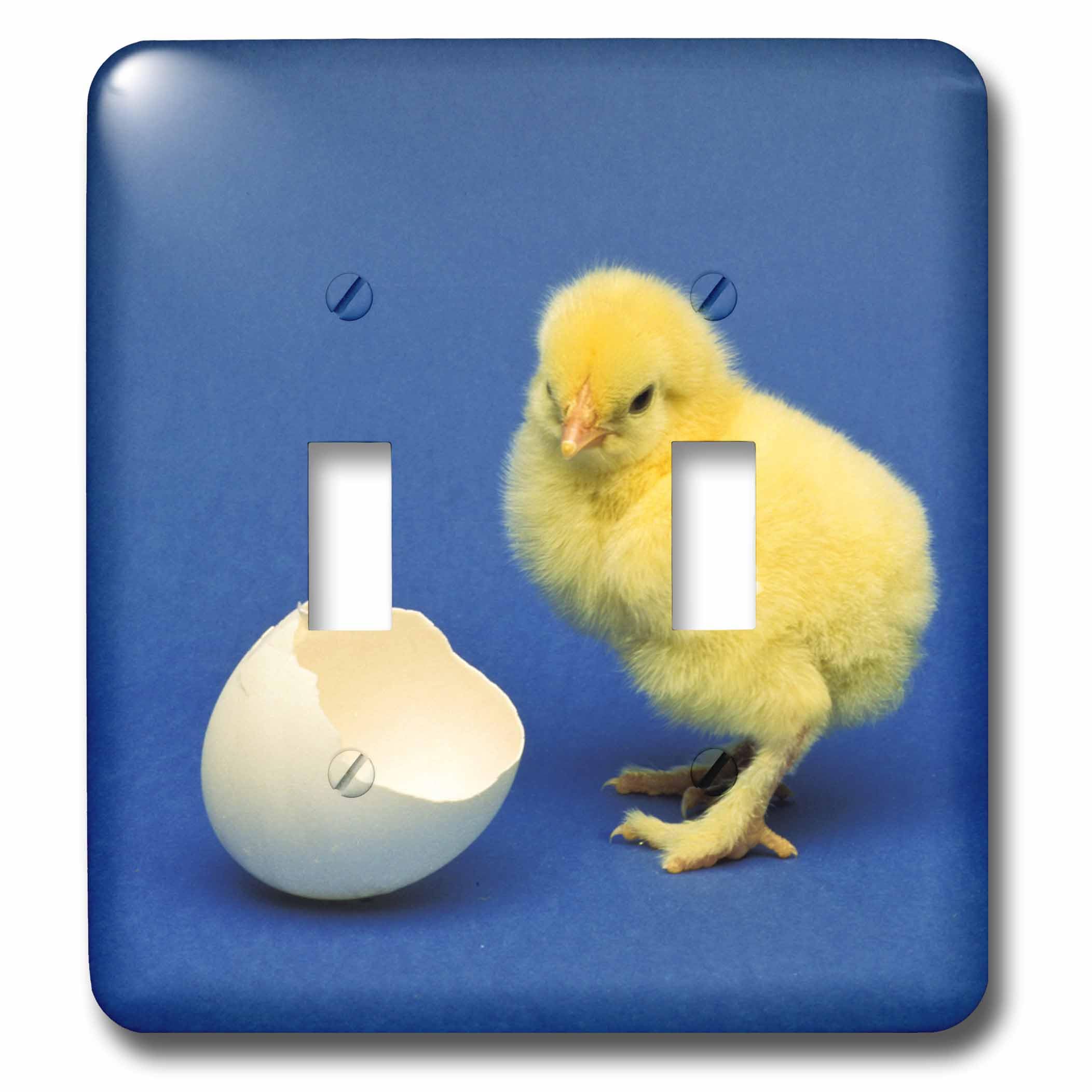 3dRose Lsp_83723_2 double interrupteur à bascule Baby Chick Bird