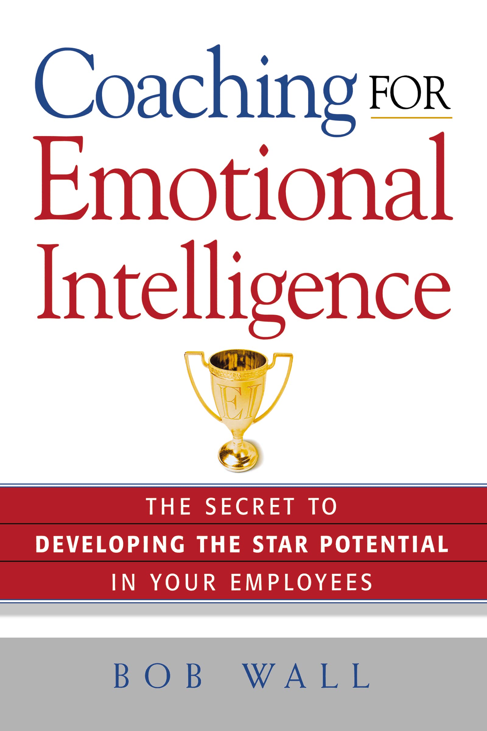 Coaching for Emotional Intelligence: The Secret to Developing the Star Potential in Your Employees