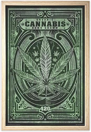 Vista 13 de Póster de cannabis orgánico cultivado en casa, 24 x 36 pulgadas