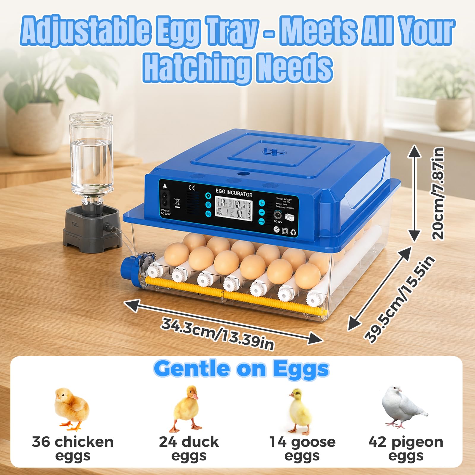 Incubadora de Huevos Automática para 36 Huevos Gallina - Control Automático deTemperatura/Humedad, Giro Automático y Fuente de Alimentación Dual, para Pato Codorniz