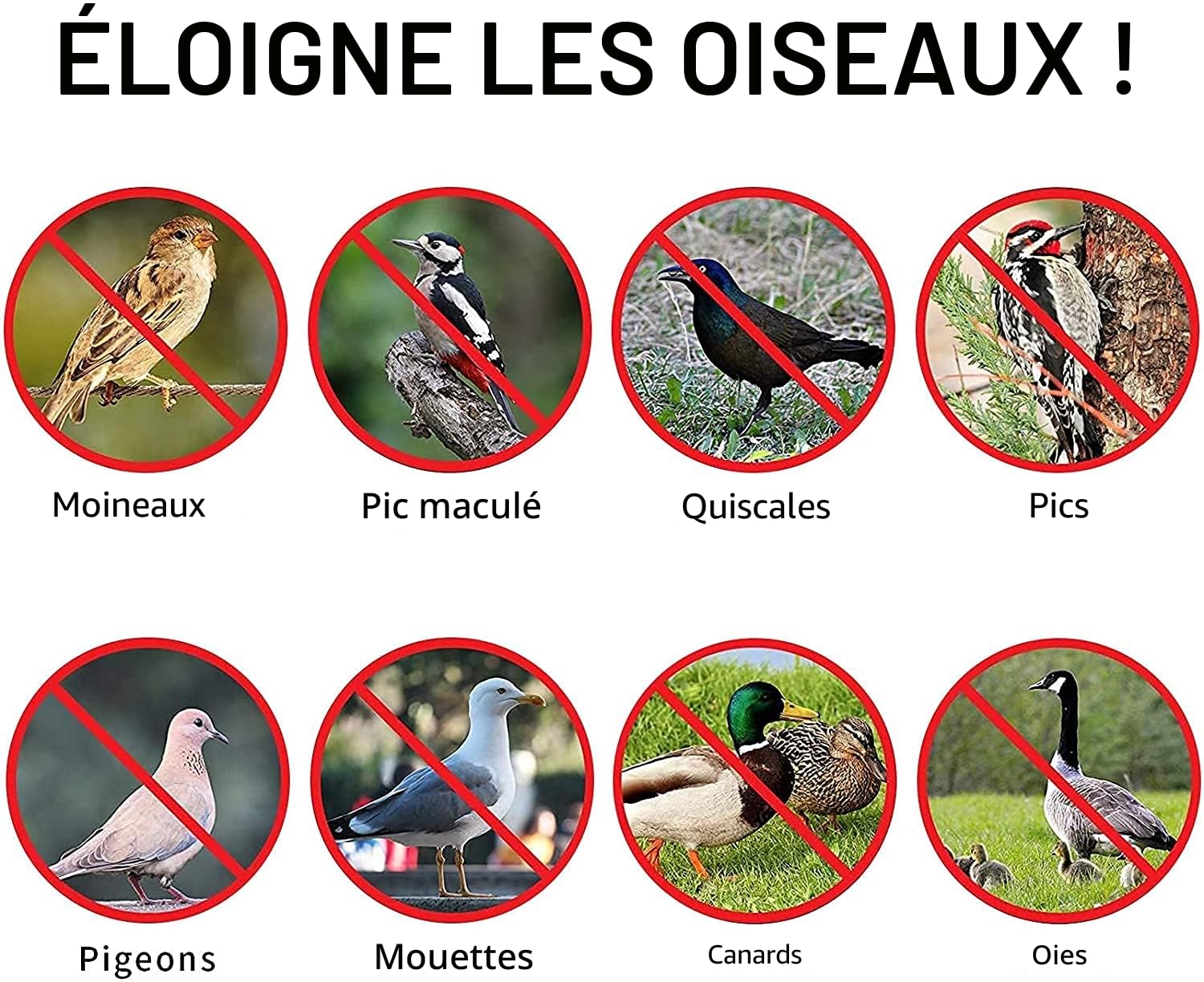 PIQIUQIU Bande répulsive pour oiseaux 80 m x 4,5 cm réfléchissante