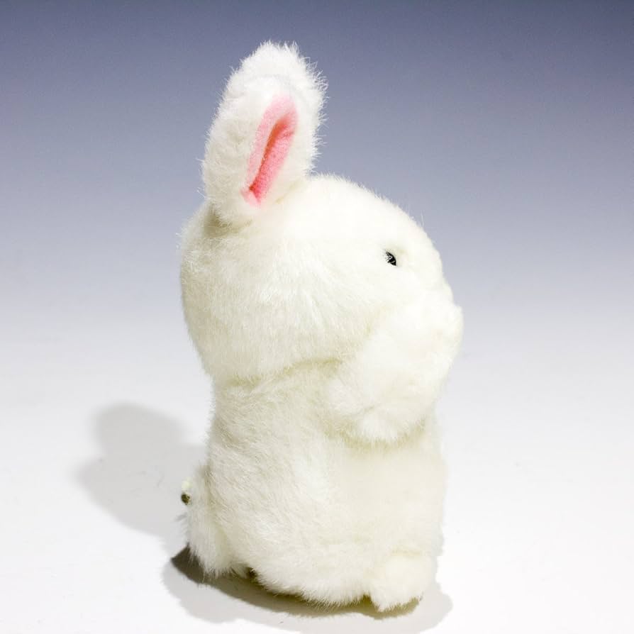 71ALYWoH-4L._AC_UF894,