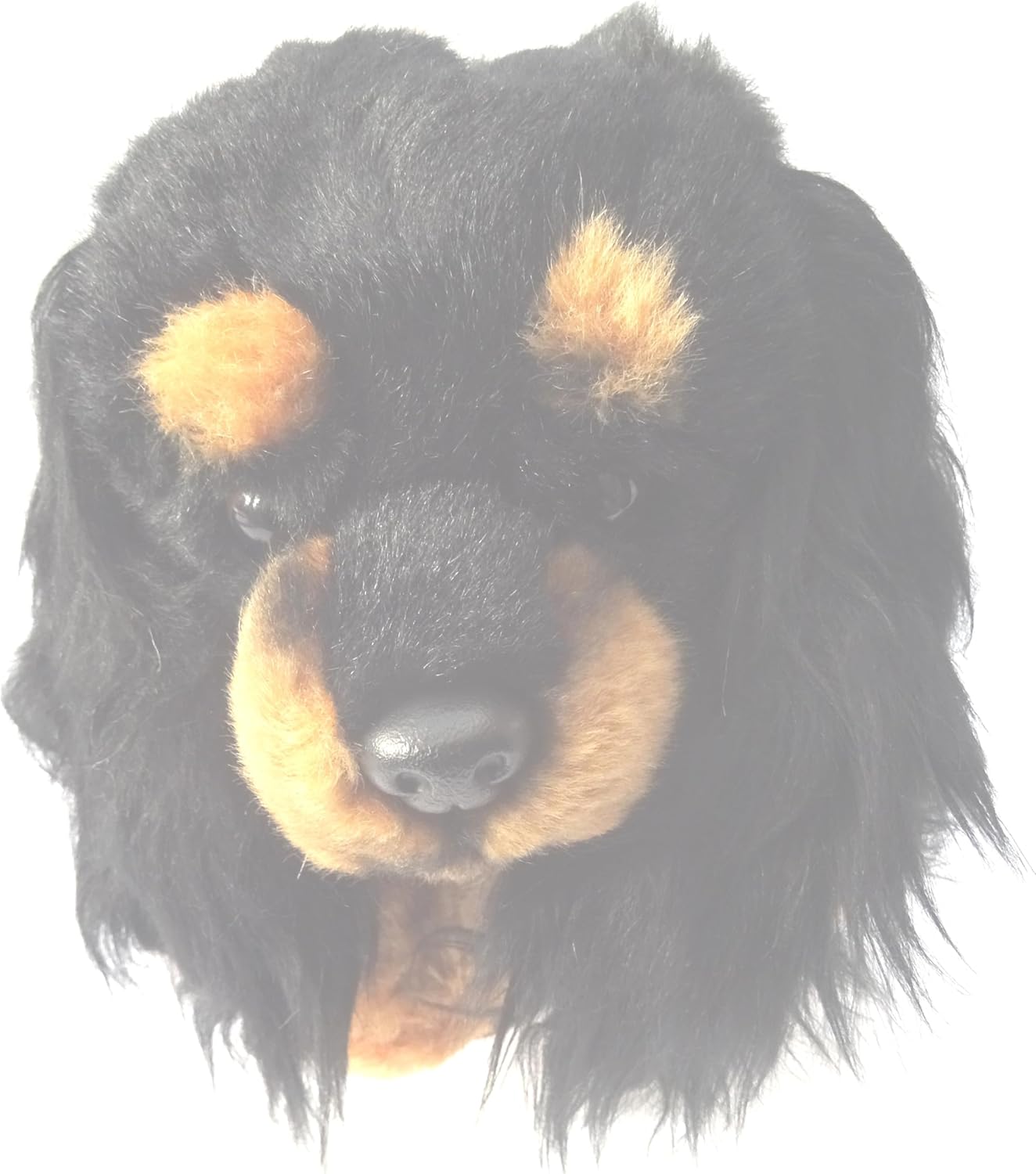 King Charles Cavalier Black & Tan 12" Plush Toy Dog Plushie Can Be Personalized & Customized With An Engraved Tag, Collar and Stunning Gift Wrap