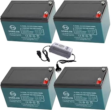 12V 12Ah Sealed Lead Acid Motorcycle Rechargeable Battery 6-DZM-12 for Powersports E Bike Electric Lawn Mower ATV Scooter Go Kart Golf Cart Maintenance-free with 48V 2.5A Batteies Accessory Set of 4