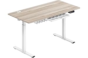 55-Inch Electric Height Adjustable Standing Desk for Enhanced Workspace Ergonomics and Comfort
