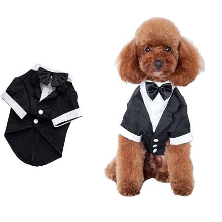 dog wedding costume