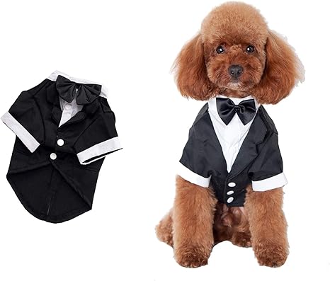 dog suit jacket