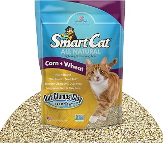 SmartCat All Natural Clumping Corn + Wheat Cat Litter, 10 Pound (160oz - 1 Pack) - Unscented and Clay Free