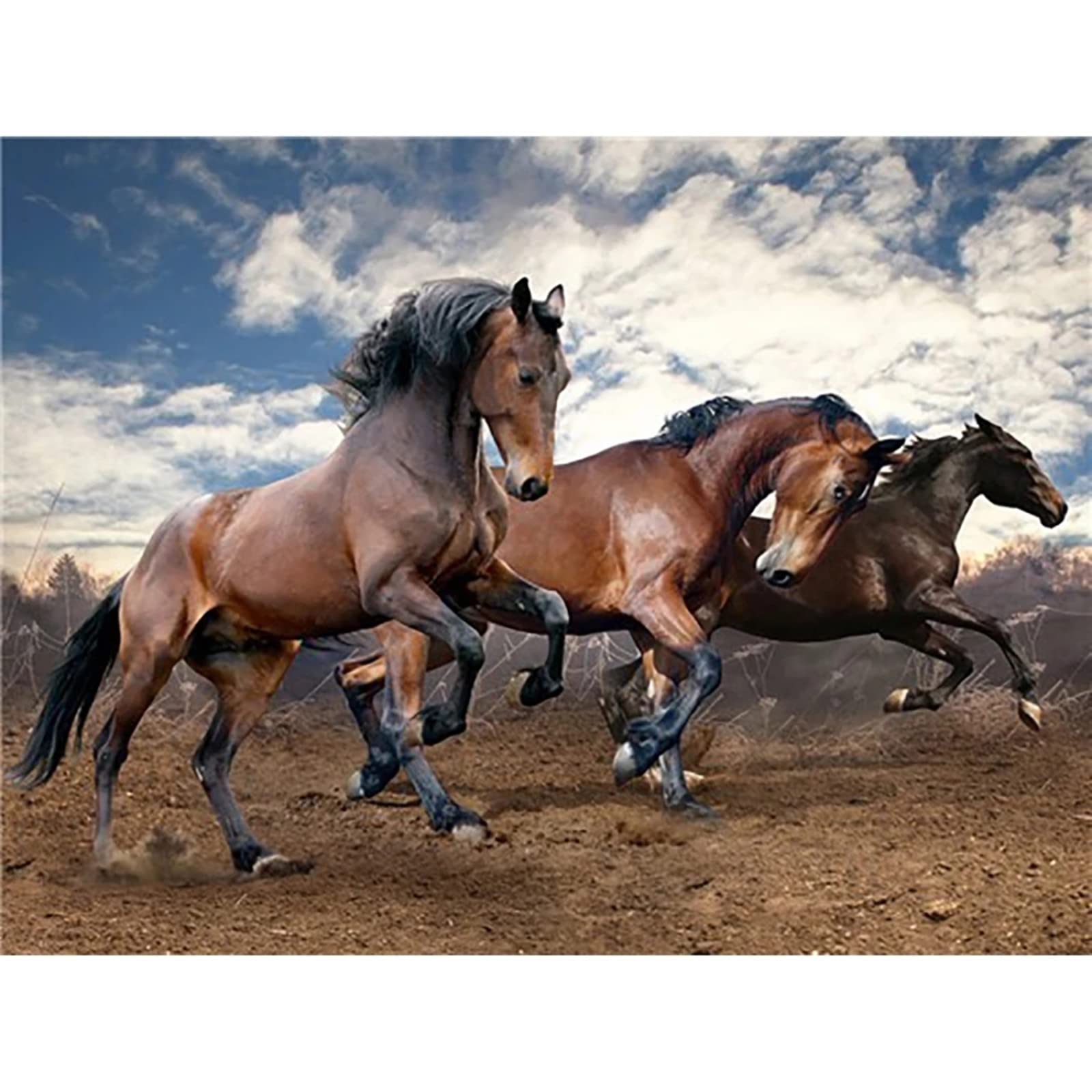 Puzzle de Madera 2000 piezasCorcel Bebé EducacióN Temprana Rompecabezas Educativo Juguetes Preescolares 2 3 4 AñOs NiñOs Y NiñAs TamañO Final 99.5×70.5cm